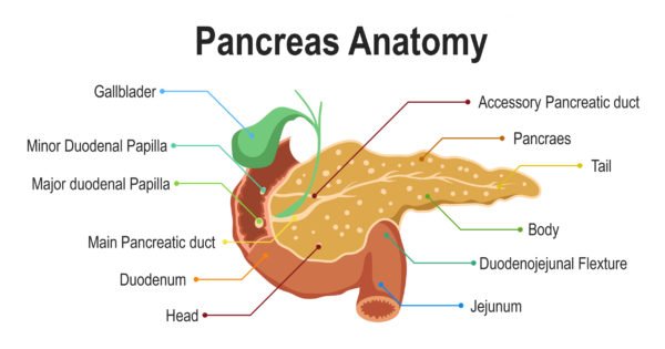 Gallbladder-15